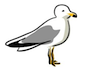 Site logo